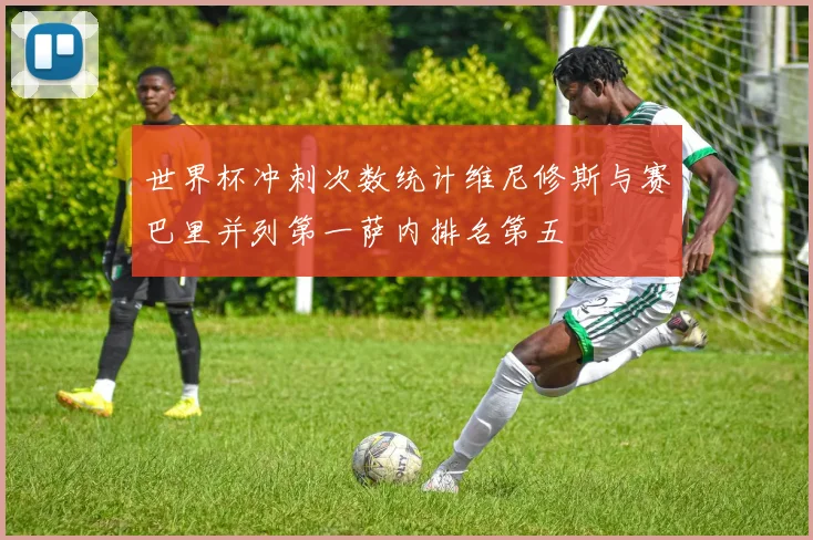 世界杯冲刺次数统计维尼修斯与赛巴里并列第一萨内排名第五